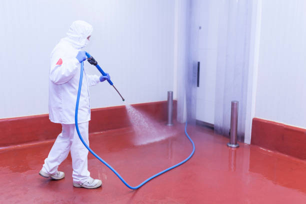 Paint Preparation in East Bangor, PA
